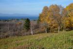 Farm-Shelburne Farms 30-25-02190