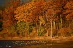 Lake Champlain 53-00-10634