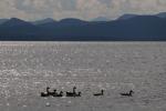 Lake Champlain 53-00-10685