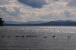 Lake Champlain 53-00-10686