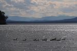 Lake Champlain 53-00-10687