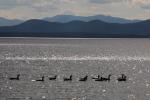 Lake Champlain 53-00-10689