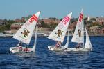 Sports-Sail 75-45-09532