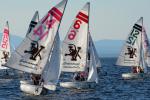 Sports-Sail 75-45-09537