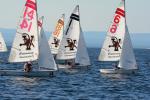 Sports-Sail 75-45-09538