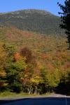 Scenery-Fall 70-05-14715