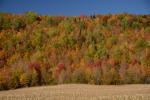 Scenery-Fall 70-05-14756