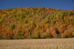 Scenery-Fall 70-05-14757