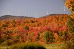 Scenery-Fall 70-05-14760