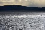 Lake Champlain 53-00-10697