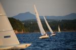 Sports-Sail 75-45-09579