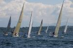 Sports-Sail 75-45-09590