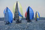 Sports-Sail 75-45-09592