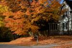 Scenery-Fall 70-05-14834