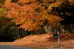 Scenery-Fall 70-05-14835