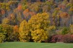 Scenery-Fall 70-05-14840