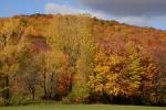 Scenery-Fall 70-05-14841