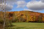 Scenery-Fall 70-05-14842