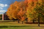 Scenery-Fall 70-05-14887