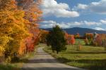 Scenery-Fall 70-05-14893