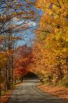 Scenery-Fall 70-05-14910