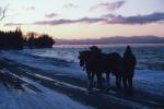 Farm-Shelburne Farms 30-25-00161