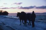 Farm-Shelburne Farms 30-25-00163