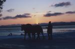 Farm-Shelburne Farms 30-25-00169