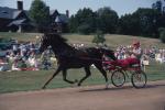 Farm-Shelburne Farms 30-25-00267