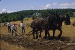 Farm-Shelburne Farms 30-25-00325