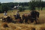 Farm-Shelburne Farms 30-25-00365