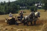 Farm-Shelburne Farms 30-25-00379