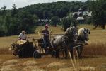 Farm-Shelburne Farms 30-25-00387