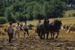 Farm-Shelburne Farms 30-25-00391