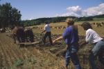 Farm-Shelburne Farms 30-25-00411