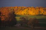 Farm-Shelburne Farms 30-25-00446