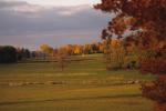 Farm-Shelburne Farms 30-25-00473