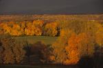 Farm-Shelburne Farms 30-25-00490