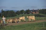 Farm-Shelburne Farms 30-25-00645