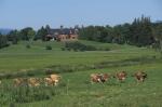 Farm-Shelburne Farms 30-25-00651