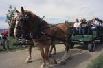 Farm-Shelburne Farms 30-25-00854