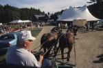 Farm-Shelburne Farms 30-25-01095