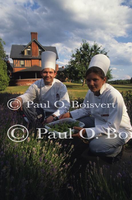 Farm-Shelburne Farms 30-25-01134