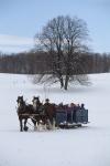 Farm-Shelburne Farms 30-25-01183