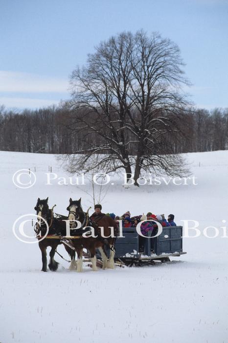 Farm-Shelburne Farms 30-25-01183