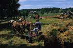 Farm-Shelburne Farms 30-25-01611