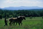 Farm-Shelburne farms 30-25-01649