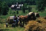 Farm-Shelburne Farms 30-25-01687