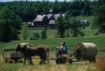 Farm-Shelburne Farms 30-25-01692