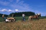 Farm-Shelburne Farms 30-25-01693